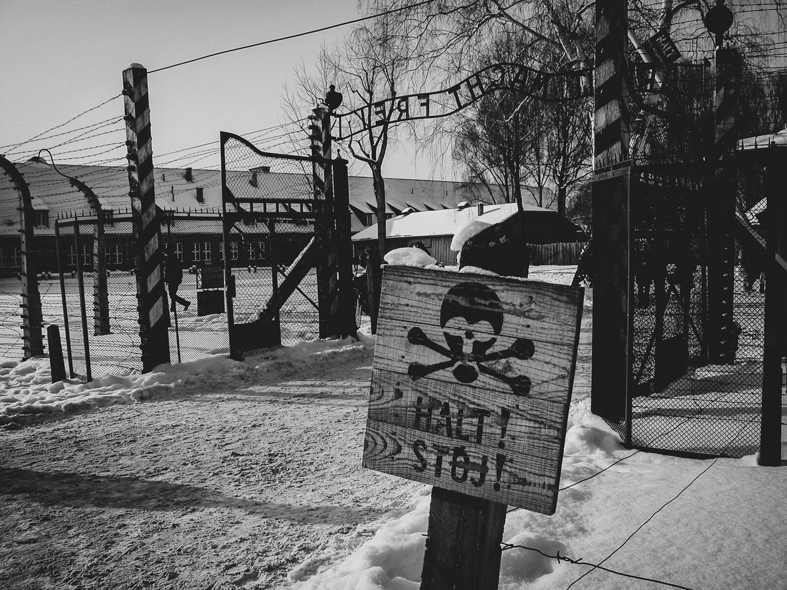 Hoe Educatieve Programma’s Ons Leren over Holocaust en Concentratiekampen