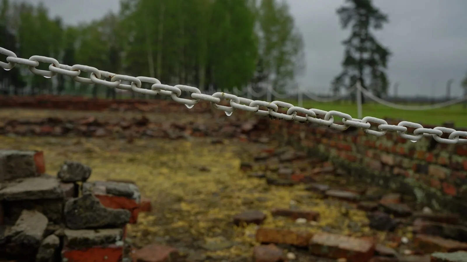 De Geschiedenis van Natzweiler-Struthof en Andere Europese Kampen