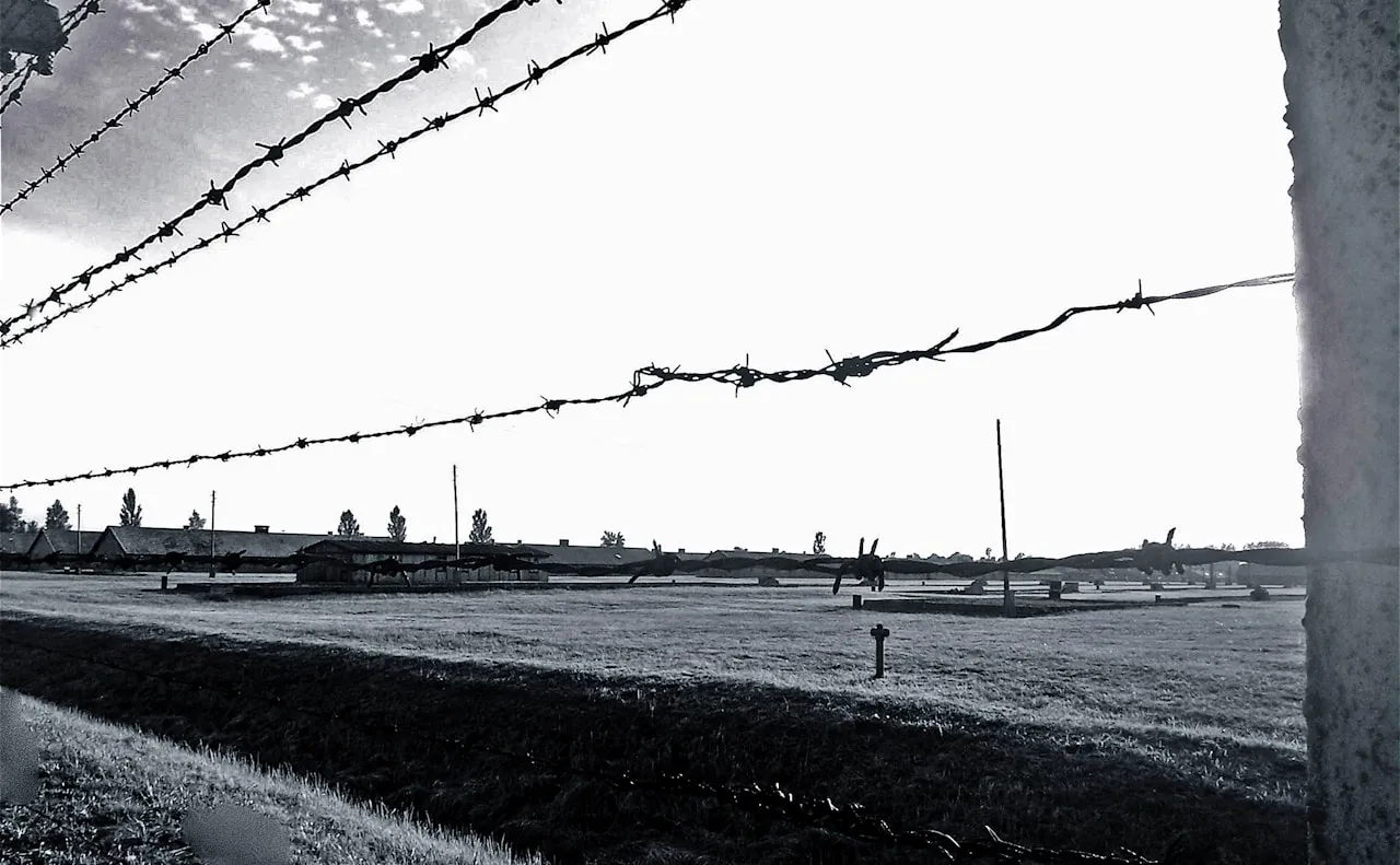 De Verhalen van Bergen-Belsen: Leren van de Geschiedenis